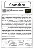 Vorschau - Unterrichtsreihen - Chamäleon Lückentext mit Wortspeicher Hörverstehen und Suchsel - Seite 1