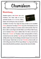 Vorschau - Unterrichtsreihen - Chamäleon Lückentext mit Wortspeicher Hörverstehen und Suchsel - Seite 2