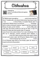 Vorschau - Unterrichtsreihen - Chihuahua Lückentext mit Wortspeicher Hörverstehen und Suchsel - Seite 1