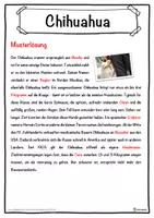 Vorschau - Unterrichtsreihen - Chihuahua Lückentext mit Wortspeicher Hörverstehen und Suchsel - Seite 2