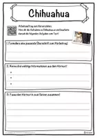 Vorschau - Unterrichtsreihen - Chihuahua Lückentext mit Wortspeicher Hörverstehen und Suchsel - Seite 3