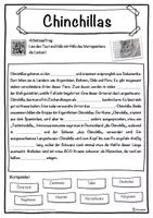Vorschau - Unterrichtsreihen - Chinchillas Lückentext mit Wortspeicher Hörverstehen und Suchsel - Seite 1