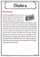 Vorschau - Unterrichtsreihen - Cholera Lückentext mit Wortspeicher Hörverstehen und Suchsel - Seite 2