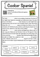 Vorschau - Unterrichtsreihen - Cocker Spaniel Lückentext mit Wortspeicher Hörverstehen und Suchsel - Seite 1