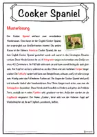 Vorschau - Unterrichtsreihen - Cocker Spaniel Lückentext mit Wortspeicher Hörverstehen und Suchsel - Seite 2