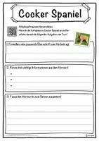 Vorschau - Unterrichtsreihen - Cocker Spaniel Lückentext mit Wortspeicher Hörverstehen und Suchsel - Seite 3