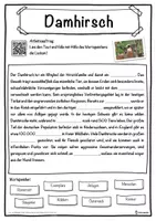 Vorschau - Unterrichtsreihen - Damhirsch Lückentext mit Wortspeicher Hörverstehen und Suchsel - Seite 1