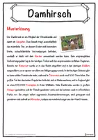 Vorschau - Unterrichtsreihen - Damhirsch Lückentext mit Wortspeicher Hörverstehen und Suchsel - Seite 2