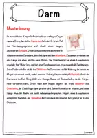 Vorschau - Unterrichtsreihen - Darm Lückentext mit Wortspeicher Hörverstehen und Suchsel - Seite 2