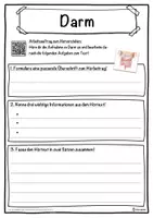 Vorschau - Unterrichtsreihen - Darm Lückentext mit Wortspeicher Hörverstehen und Suchsel - Seite 3