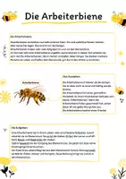 Vorschau - Mal- und Bastelvorlagen - Das Bienenvolk - Seite 1
