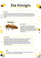 Vorschau - Mal- und Bastelvorlagen - Das Bienenvolk - Seite 3