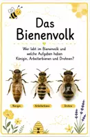 Vorschau - Mal- und Bastelvorlagen - Das Bienenvolk - Deckblatt