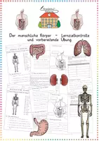 Vorschau - Arbeitsblätter - Körper & Organe: Lernzielkontrolle & Übung (Klassenarbeit) - Sachunterricht - Kl. 3/4 - Deckblatt