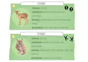 Vorschau - Präsentationen/Tafelbilder - Waldtiere - Differenzierte Steckbriefe - Seite 3