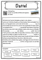 Vorschau - Unterrichtsreihen - Dattel Lückentext mit Wortspeicher Hörverstehen und Suchsel - Seite 1