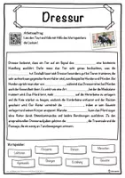 Vorschau - Unterrichtsreihen - Dressur Lückentext mit Wortspeicher Hörverstehen und Suchsel - Seite 1
