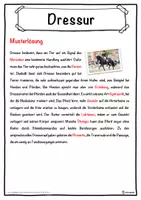 Vorschau - Unterrichtsreihen - Dressur Lückentext mit Wortspeicher Hörverstehen und Suchsel - Seite 2