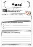 Vorschau - Unterrichtsreihen - Muskel Lückentext mit Wortspeicher Hörverstehen und Suchsel - Seite 3
