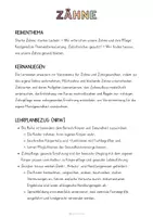 Vorschau - Stundenentwürfe - Materialpaket: Zähne - Unterrichtsreihe, UB-Stunde und Material - Seite 1