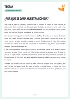 Vista previa - Hojas de trabajo - Experiment Lebensmittel Deterioro - Protokoll + Arbeitsblätter - página 2