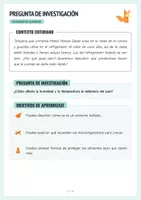 Vista previa - Hojas de trabajo - Experiment Lebensmittel Deterioro - Protokoll + Arbeitsblätter - página 3