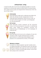 Voorbeeld - Leesbingo MET differentiatie: zomer - niveau eerste leerjaar (groep 3) - Pagina 2