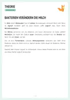 Vorschau - Arbeitsblätter - Wie entsteht Joghurt? - Fermentation - Protokoll + Arbeitsblätter - Seite 2