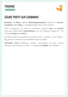 Vorschau - Arbeitsblätter - XL Materialpaket - Ernährung & Lebensmittel Experimente Arbeitsblätter - Seite 3