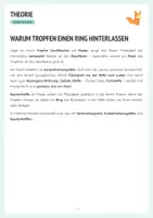 Vorschau - Arbeitsblätter - Durstlöscher – Kaffeering-Effekt - Oberflächenspannung - Chemie - Protokoll + Arbeitsblätter - Seite 2