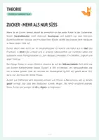 Vorschau - Arbeitsblätter - Wie viel Zucker steckt in meinem Getränk? - Chemie - Protokoll + Arbeitsblätter - Seite 2
