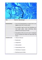 Vorschau - Arbeitsblätter - Rund um....Neurobiologie - Seite 2