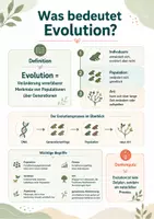 Vorschau - Arbeitsblätter - Evolution verstehen: Theorien, Belege, Faktoren und die Entwicklung des Lebens - Seite 2