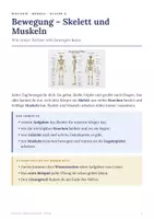 Vorschau - Arbeitsblätter - Skelett und Muskeln Biologie Klasse 6 Arbeitsheft - Seite 1