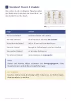 Vorschau - Arbeitsblätter - Skelett und Muskeln Biologie Klasse 6 Arbeitsheft - Seite 2
