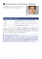 Vorschau - Arbeitsblätter - Skelett und Muskeln Biologie Klasse 6 Arbeitsheft - Seite 3