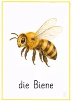 Vorschau - Arbeitsblätter - Die Biene Sachunterricht Arbeitsblätter Bildkarten Wissenskarten - Seite 1
