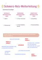 Vorschau - Arbeitsblätter - Schmerzmanagement - Deckblatt