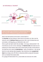 Vorschau - Arbeitsblätter - Schmerzmanagement - Seite 1