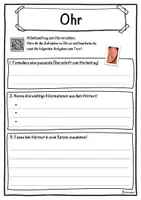 Vorschau - Unterrichtsreihen - Ohr Lückentext mit Wortspeicher Hörverstehen und Suchsel - Seite 3