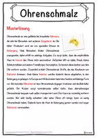 Vorschau - Unterrichtsreihen - Ohrenschmalz Lückentext mit Wortspeicher Hörverstehen und Suchsel - Seite 2