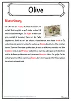 Vorschau - Unterrichtsreihen - Olive Lückentext mit Wortspeicher Hörverstehen und Suchsel - Seite 2