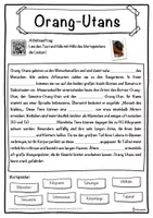 Vorschau - Unterrichtsreihen - Orang-Utans Lückentext mit Wortspeicher Hörverstehen und Suchsel - Seite 1
