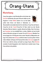Vorschau - Unterrichtsreihen - Orang-Utans Lückentext mit Wortspeicher Hörverstehen und Suchsel - Seite 2