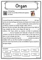 Vorschau - Unterrichtsreihen - Organ Lückentext mit Wortspeicher Hörverstehen und Suchsel - Seite 1
