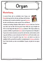 Vorschau - Unterrichtsreihen - Organ Lückentext mit Wortspeicher Hörverstehen und Suchsel - Seite 2