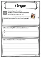 Vorschau - Unterrichtsreihen - Organ Lückentext mit Wortspeicher Hörverstehen und Suchsel - Seite 3