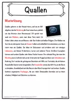 Vorschau - Unterrichtsreihen - Quallen Lückentext mit Wortspeicher Hörverstehen und Suchsel - Seite 2