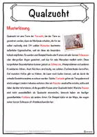 Vorschau - Unterrichtsreihen - Qualzucht Lückentext mit Wortspeicher Hörverstehen und Suchsel - Seite 2