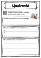 Vorschau - Unterrichtsreihen - Qualzucht Lückentext mit Wortspeicher Hörverstehen und Suchsel - Seite 3
